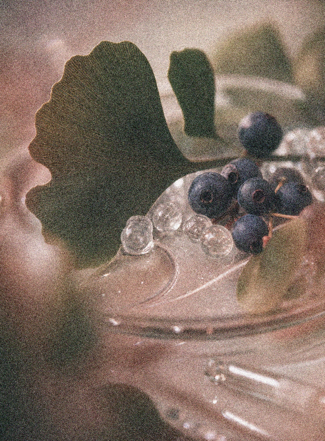 NEVARI BioPeptide Complex grainy scientific ingredient editorial image