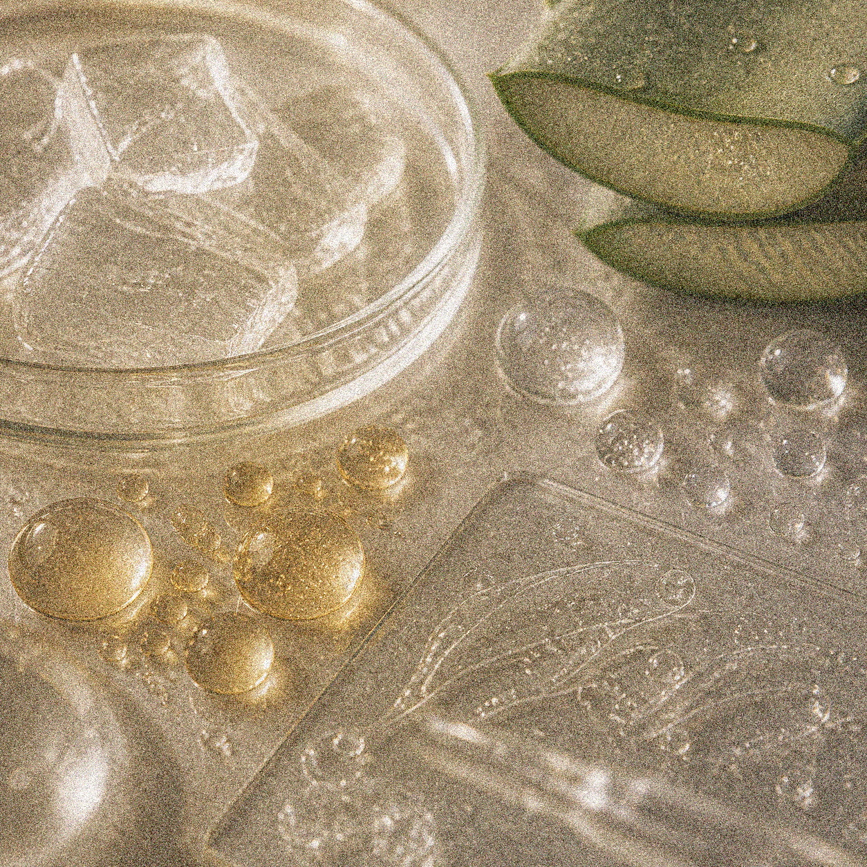 NEVARI Collagen Nocturne grainy scientific ingredient editorial image