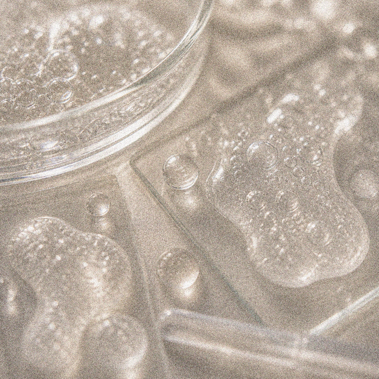 NEVARI Prebiotic Matrix grainy scientific ingredient editorial image