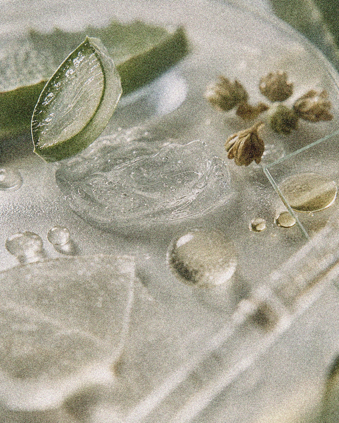 NEVARI Osmolyte Veil grainy scientific ingredient editorial image