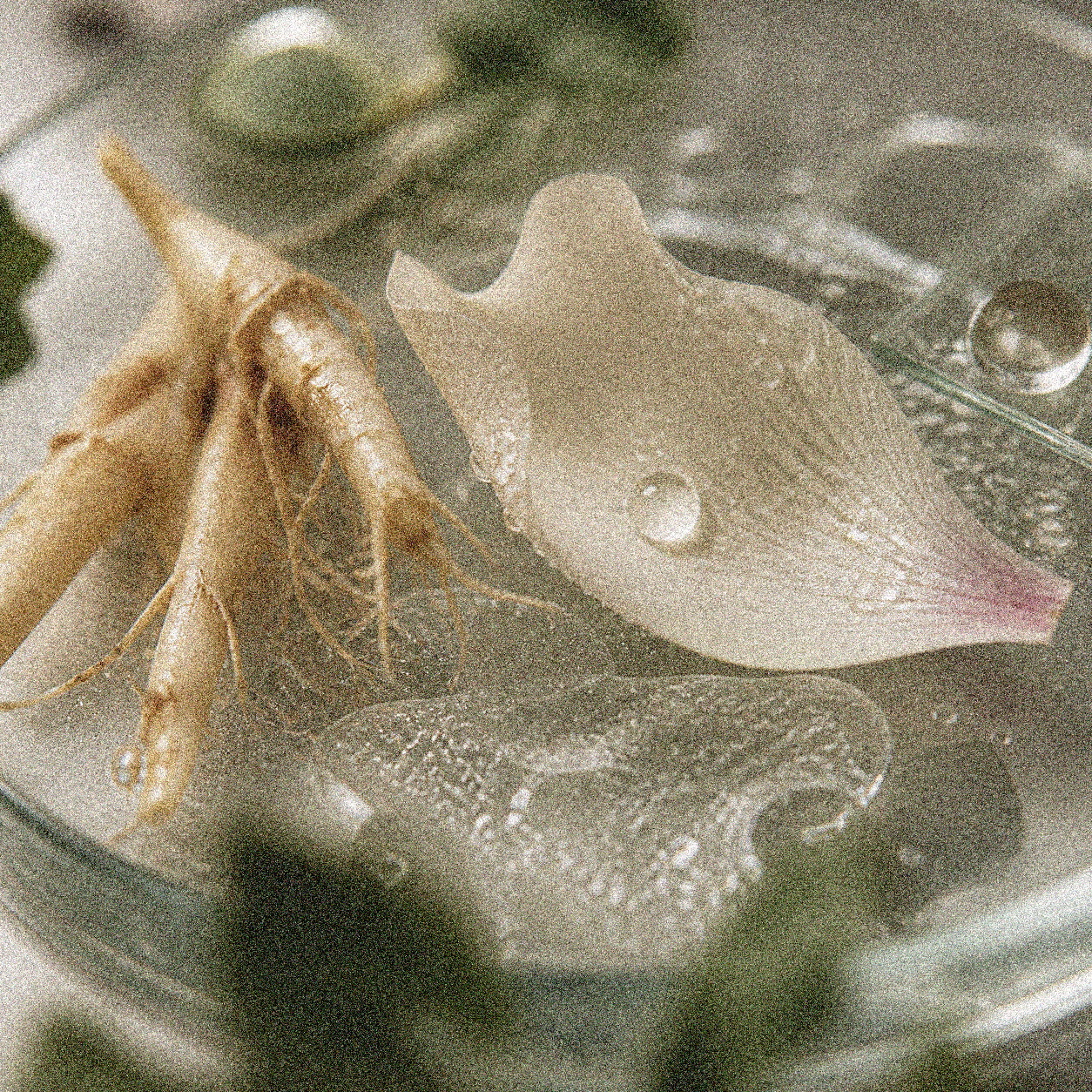 NEVARI AminoScalp Calm grainy scientific ingredient editorial image