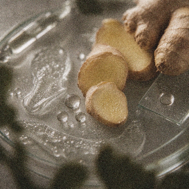 Zingiber Betaine Wash - alternate view