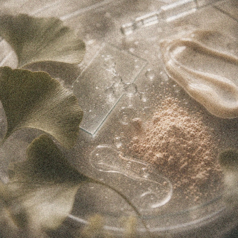 Peptide Pigment Veil – 10 Light Warm - alternate view