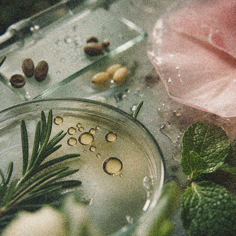 Rosmarinus Scalp Lipid - alternate view