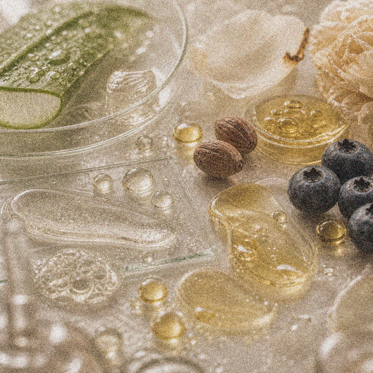 NEVARI Alteromonas Bioferment grainy scientific ingredient editorial image