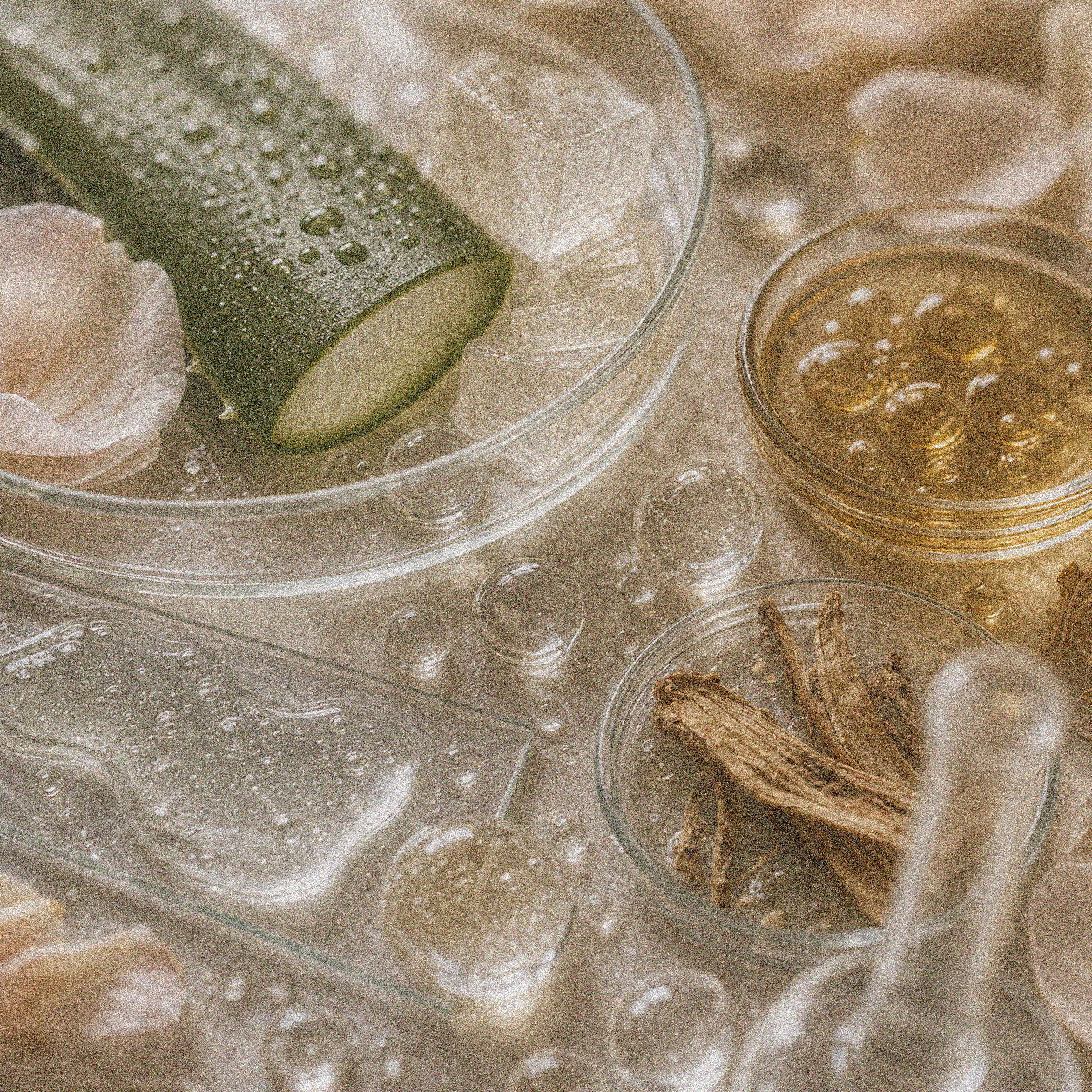 NEVARI Dermalipid Comfort grainy scientific ingredient editorial image