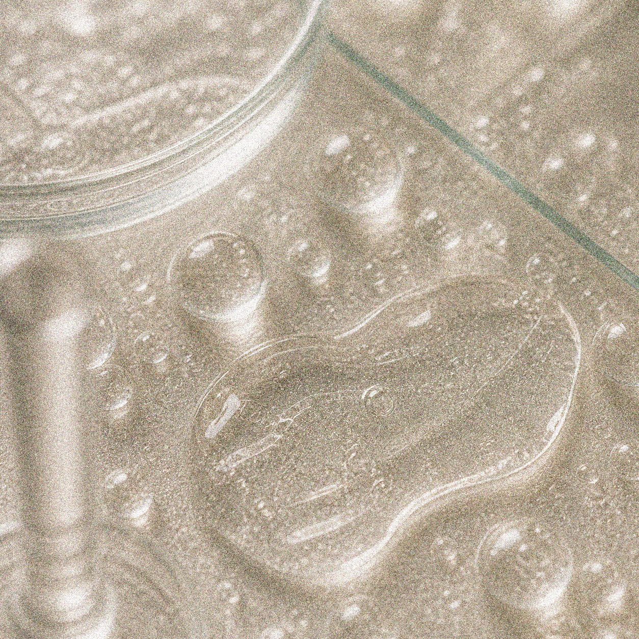 NEVARI Prebiotic Mist grainy scientific ingredient editorial image